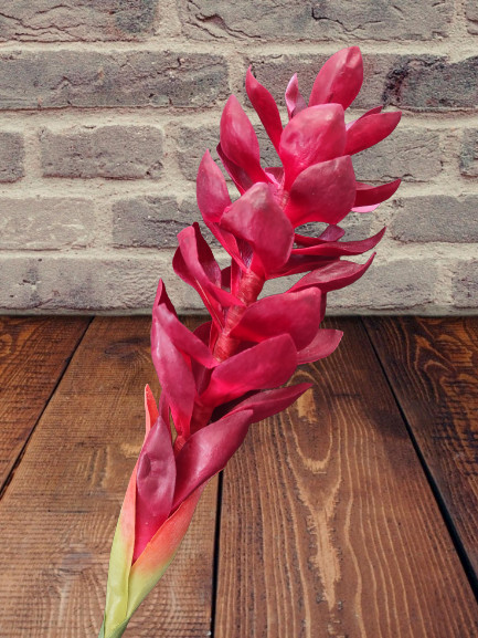 Ginger lily stem. Silk flower arrangements tropical Hawaiian flowers DARK RED