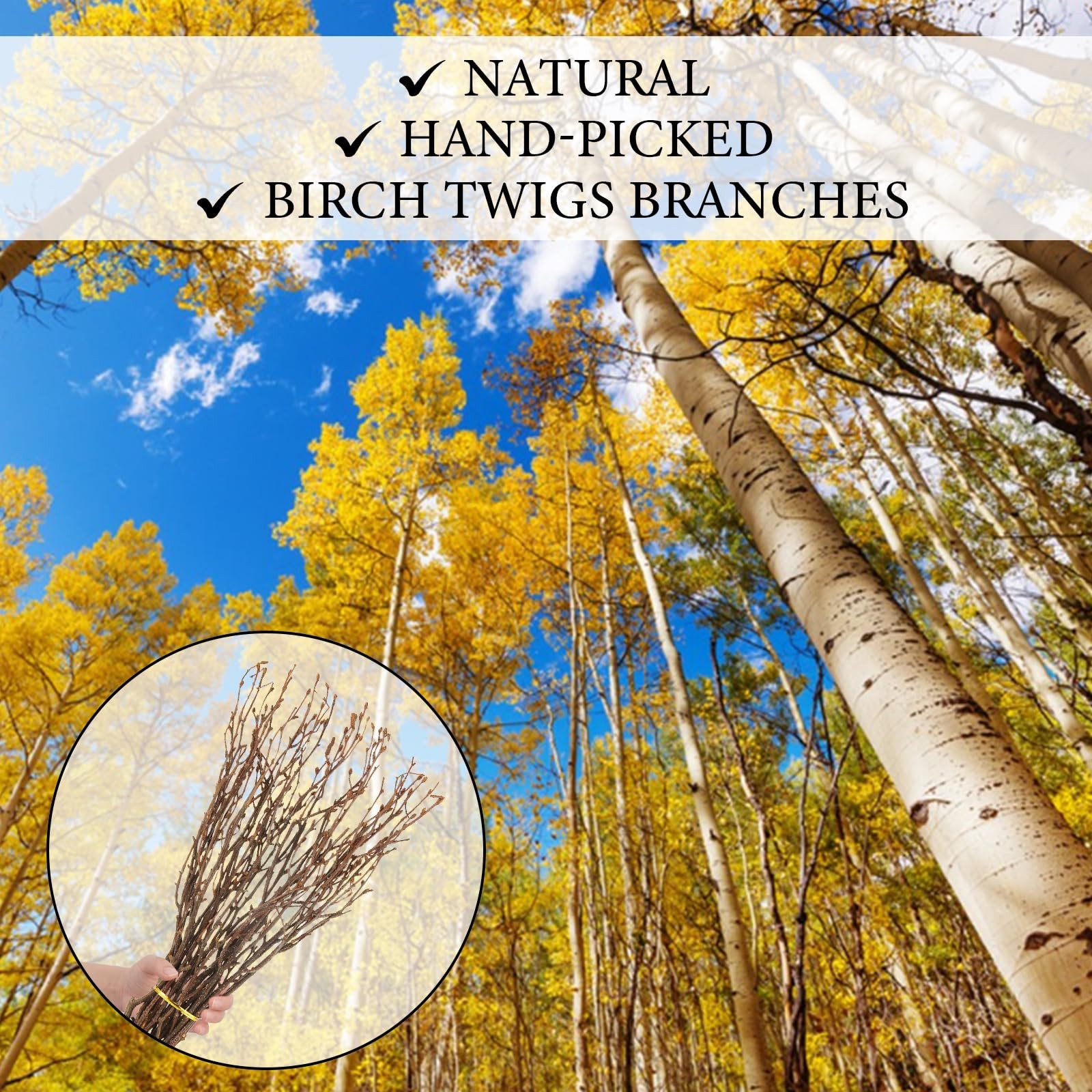 120 PCS Natural Dried Birch Twigs Branches 16 Inch Decorative Vase Stick