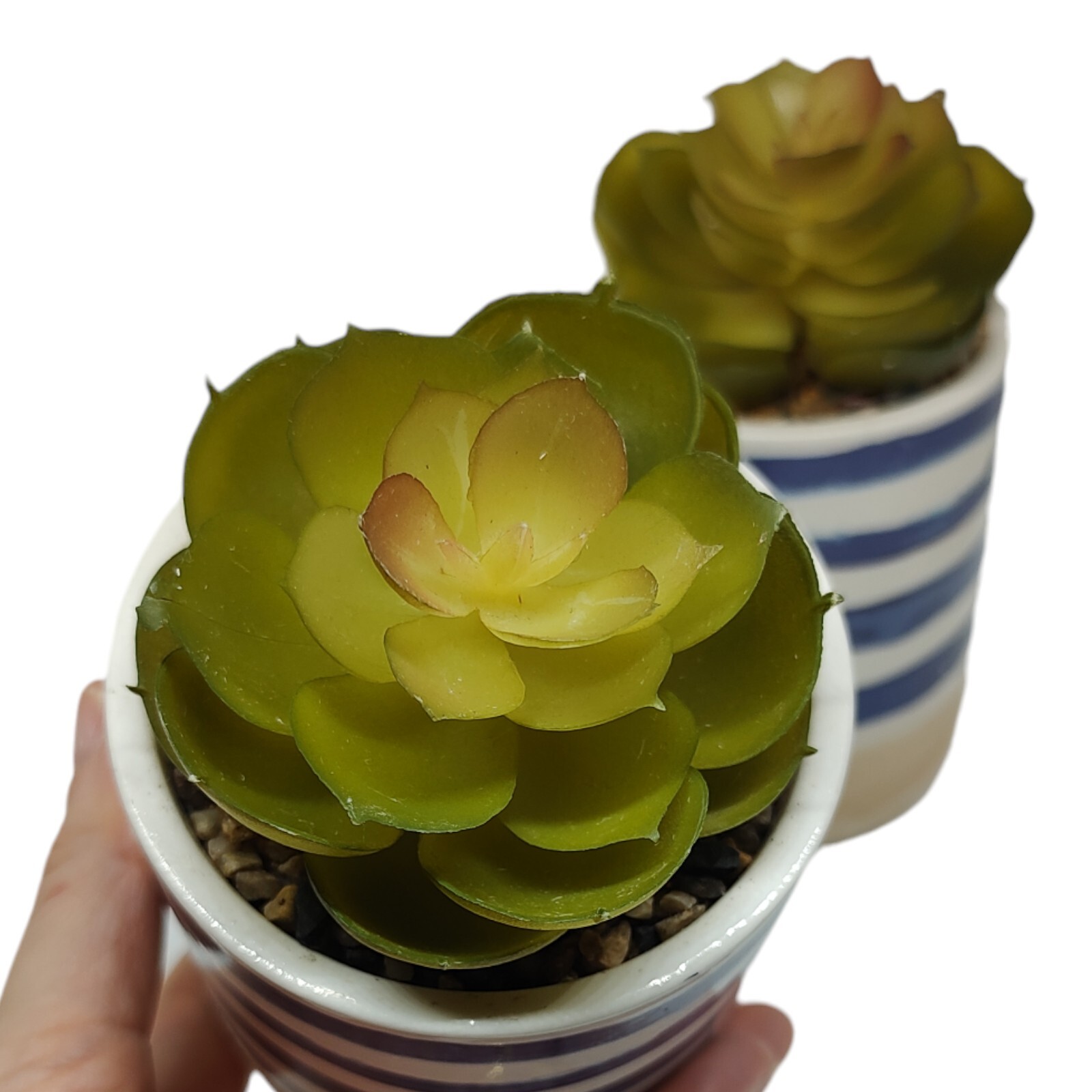 Set of 2 Faux Succulents In Ceramic Pots Rustic Coastal Small Artificial Plants