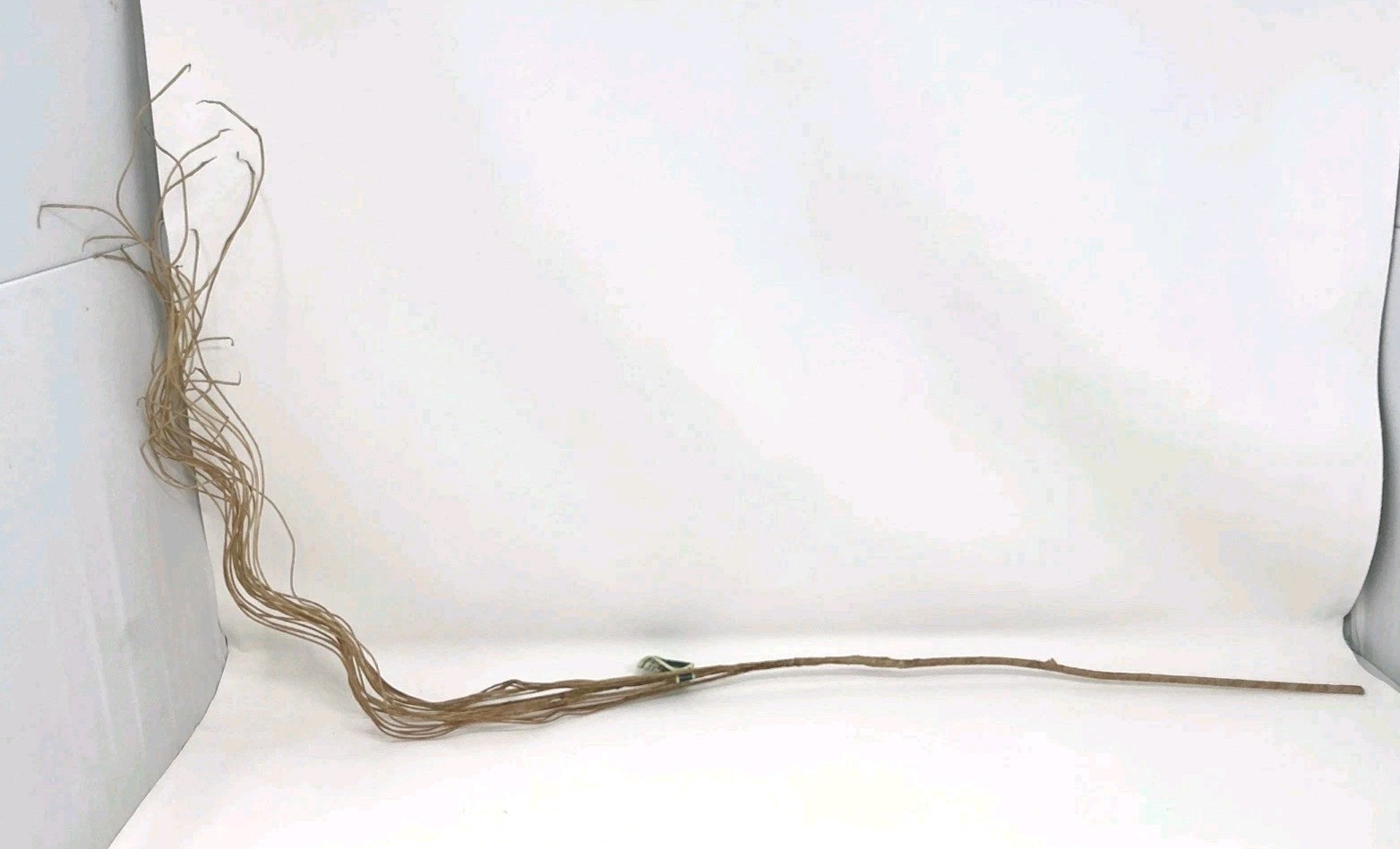 Winward Silks Curly Branch 40” Long Natural Vase Basket Filler 1 Pick NOS