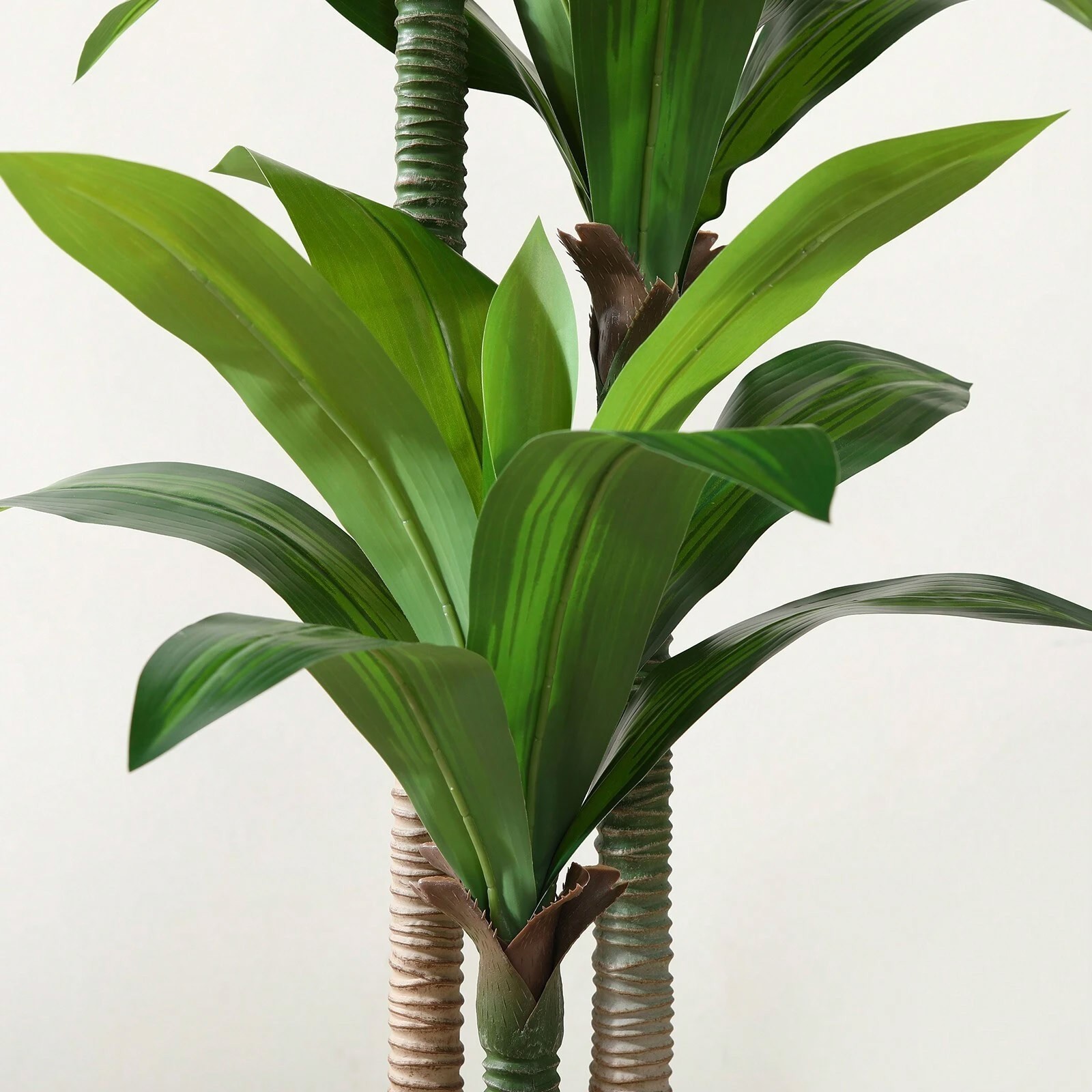 6FT Artificial Dracaena Tree with White Planter Indoor Floor Plant