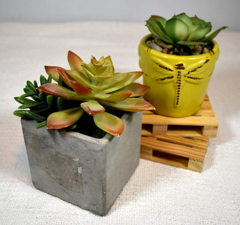 Echeveria & Echeveria/Jade Mix ARTIFICIAL SUCCULENT PLANTS, Set of 2 In Pots