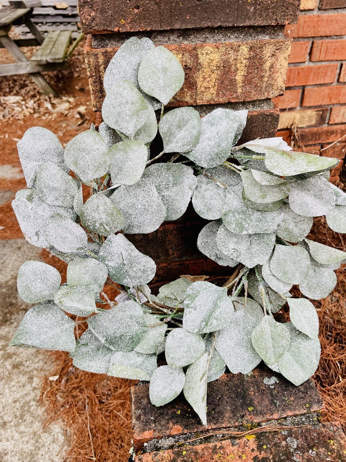 Frosted Dollar Eucalyptus Christmas Or Winter Small Wreath Ring, 6.5