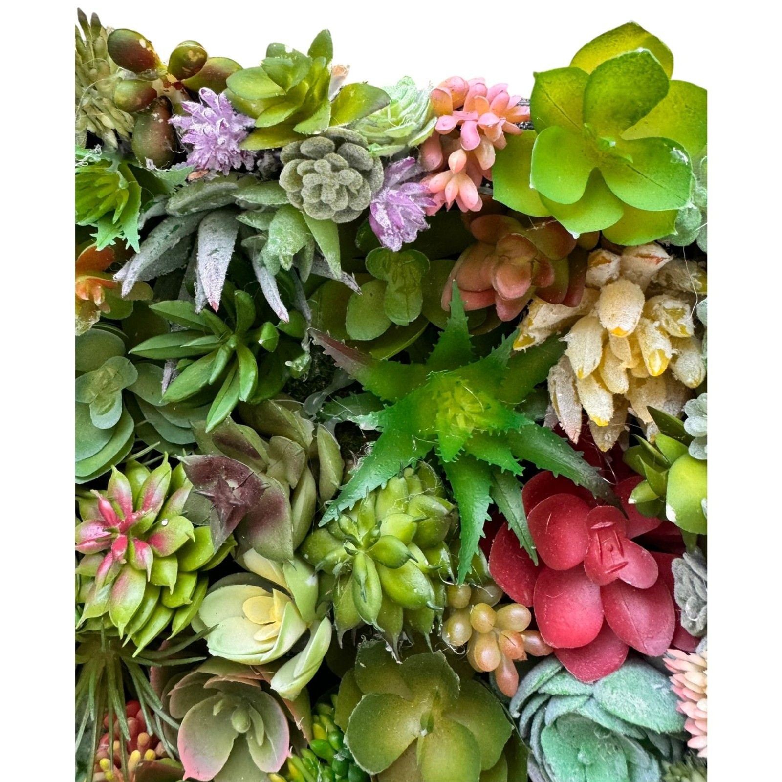 Succulent Wall Art Boho Faux Botanical Decor 8x8x2