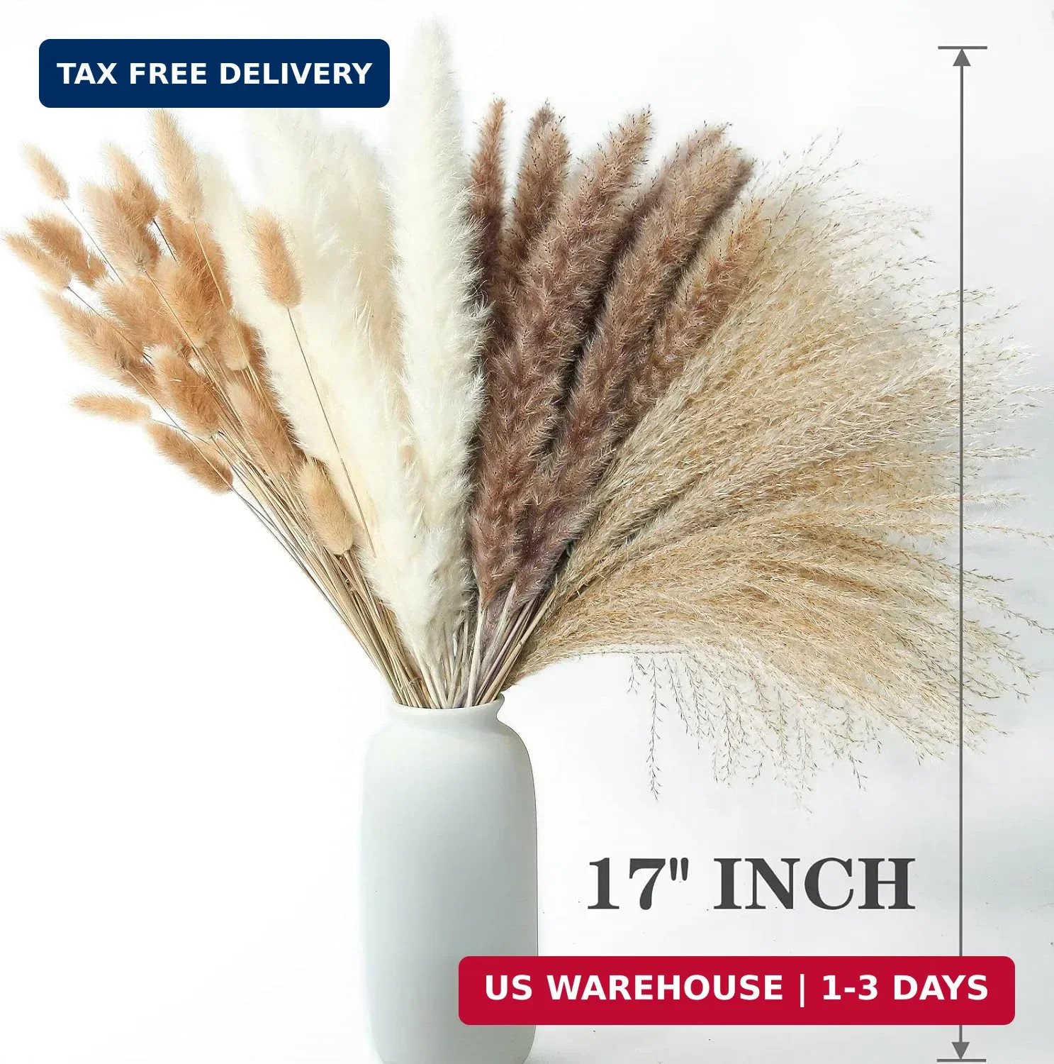 300 PCS Dried Flower Bouquet – Pampas Grass, Floral Decor for Home, Wedding, and