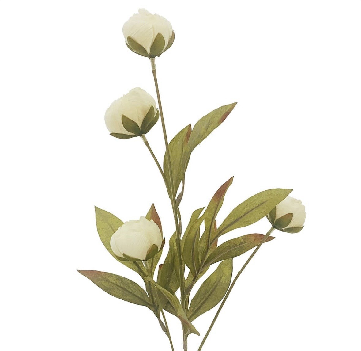 Peonies Michaels Cream Viral Ashland 8 Stems TikTok Sold Out 32 Flower HTF Peony
