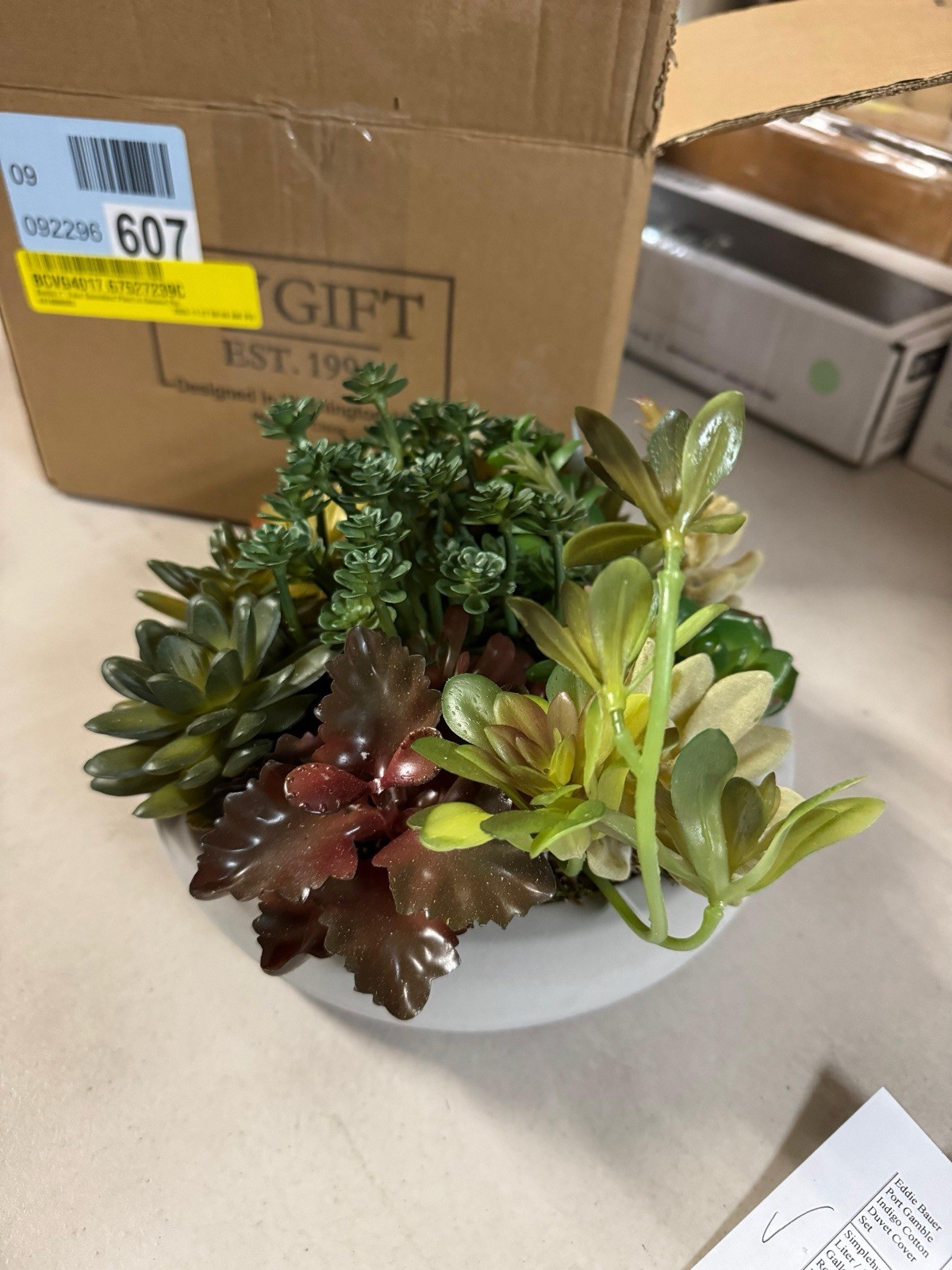 Primrue Benita 7″ Faux Succulent Plant in Cement Pot