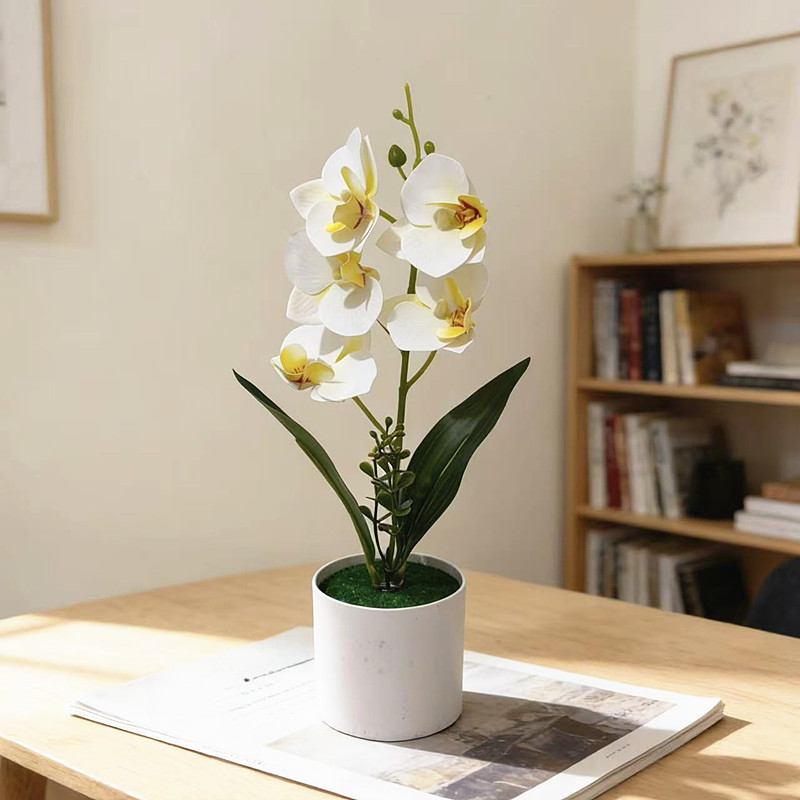 White Yellow Purple Blue Phalaenopsis Orchid Arrangement for Indoor Desk Decor
