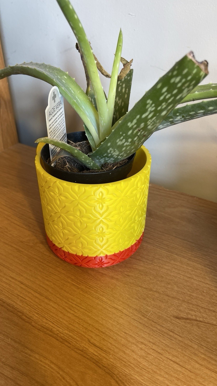 Succulent/planter indoor wall mounted – custom 3D printed