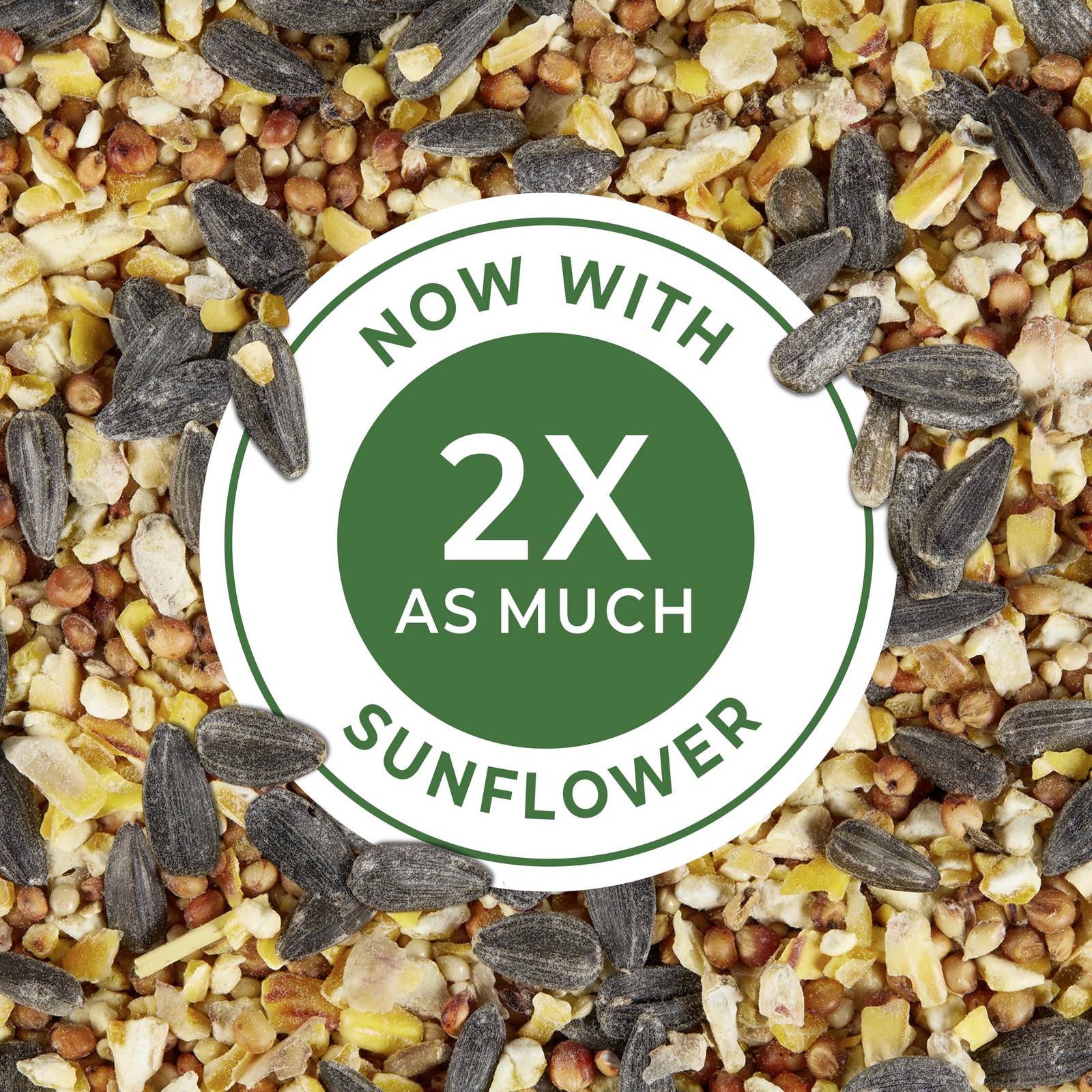 Wild Bird Food Basic Seed Blend, 5 lb 5 Pound (Pack of 1)
