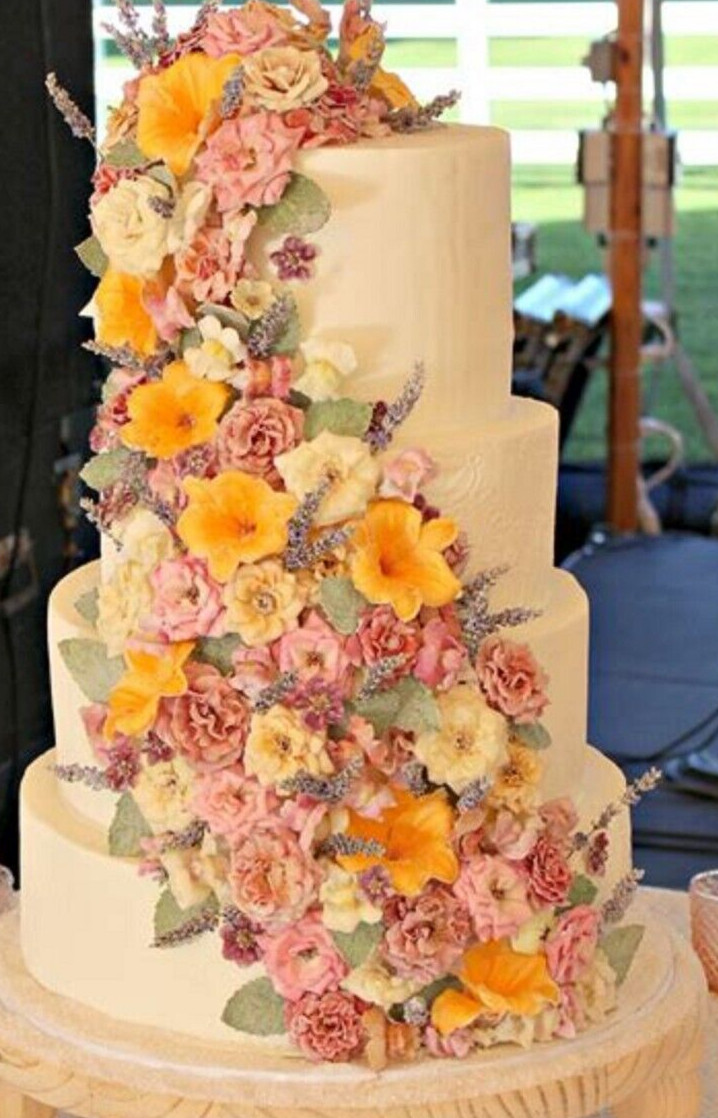 FRESH EDIBLE FLOWERS Pink Collection 50-75 Free Overnight Ship WEDNESDAYS