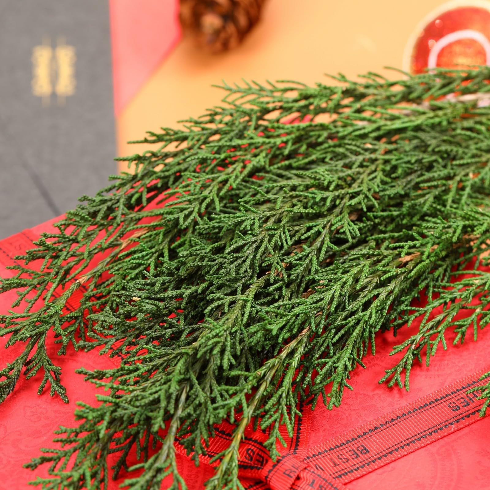 6OZ Preserved Real Pine Leaves Branches -17” Natural Christmas Greenery Plan…