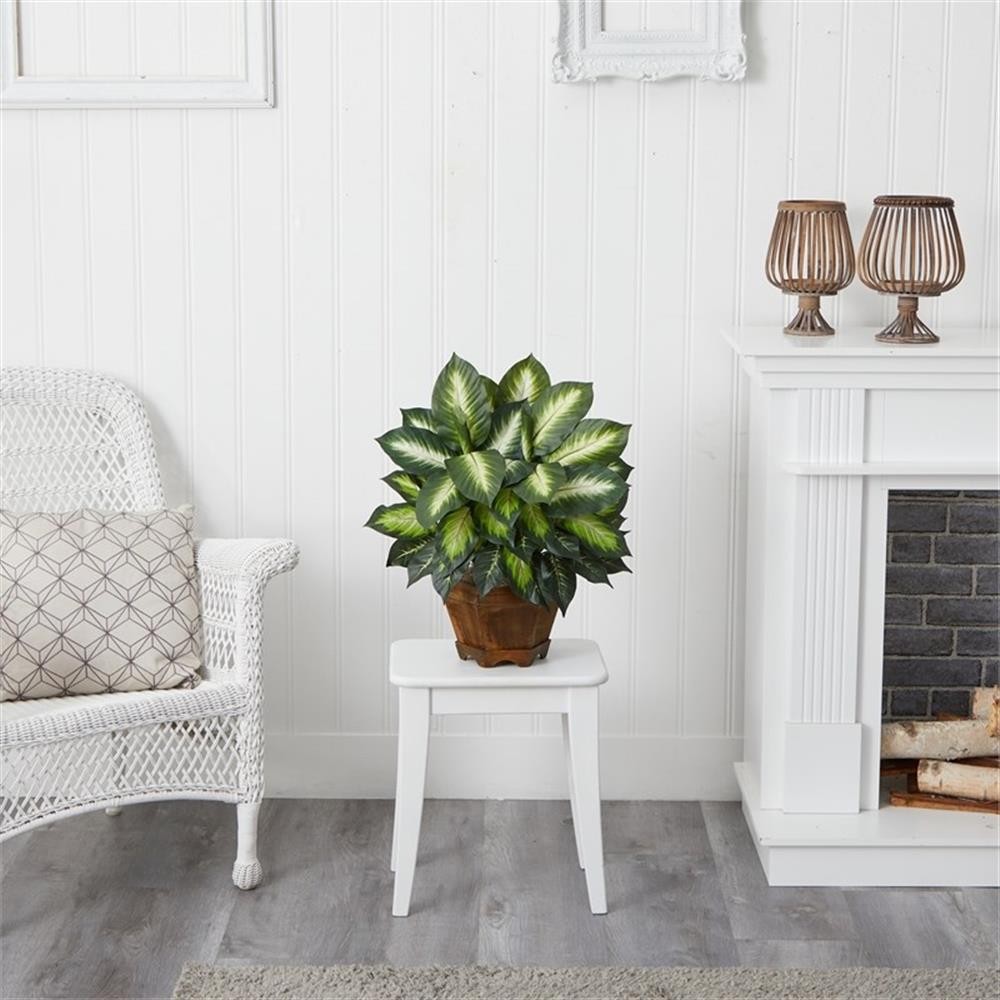 Pemberly Row Triple Golden Dieffenbachia with Wood Vase in Green/Black