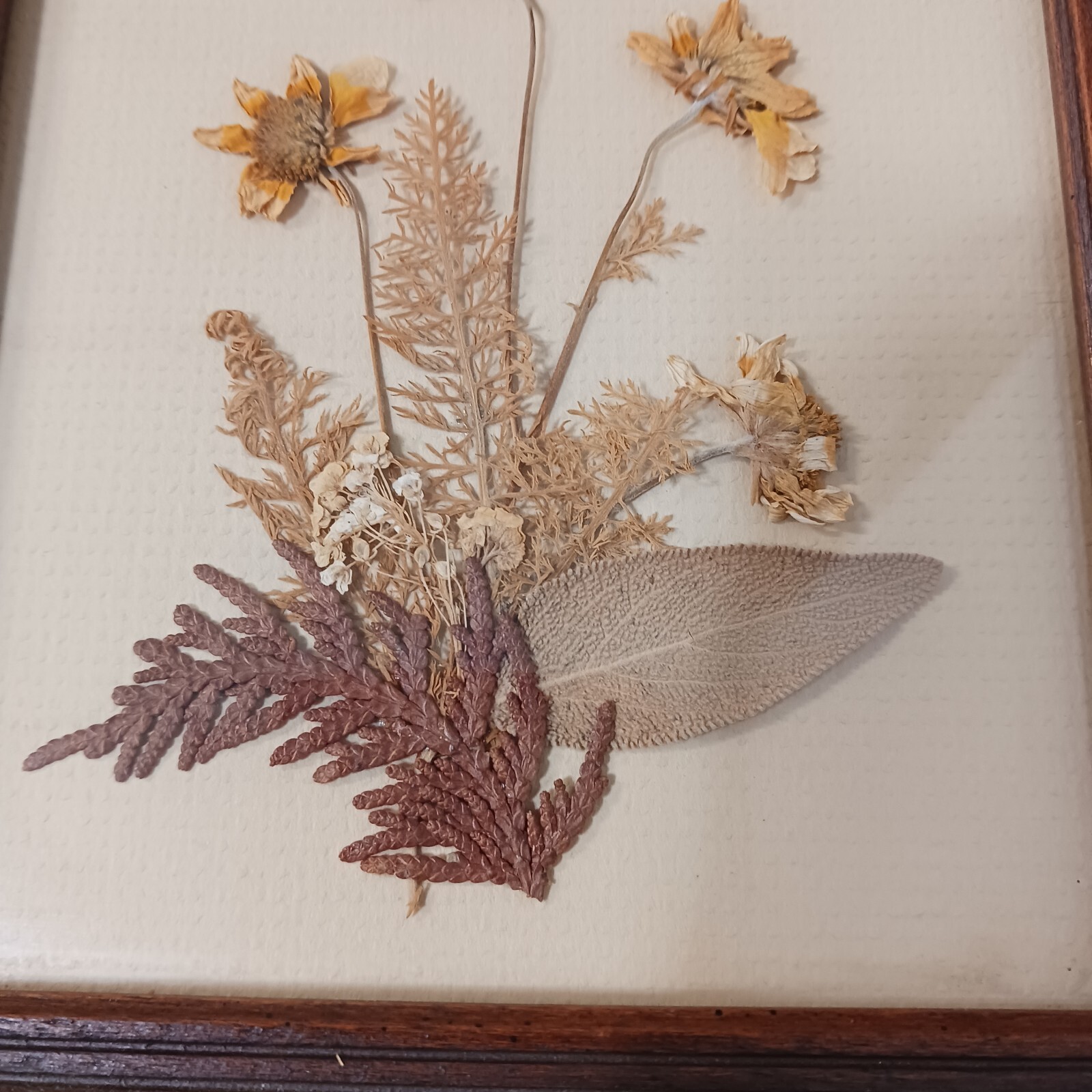 Framed Dried Flower Arrangement 7×6 Multicolored Custom Framed