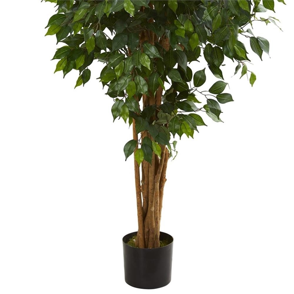 Pemberly Row 66″ Ficus Artificial Tree with Several Trunks in Green/Black