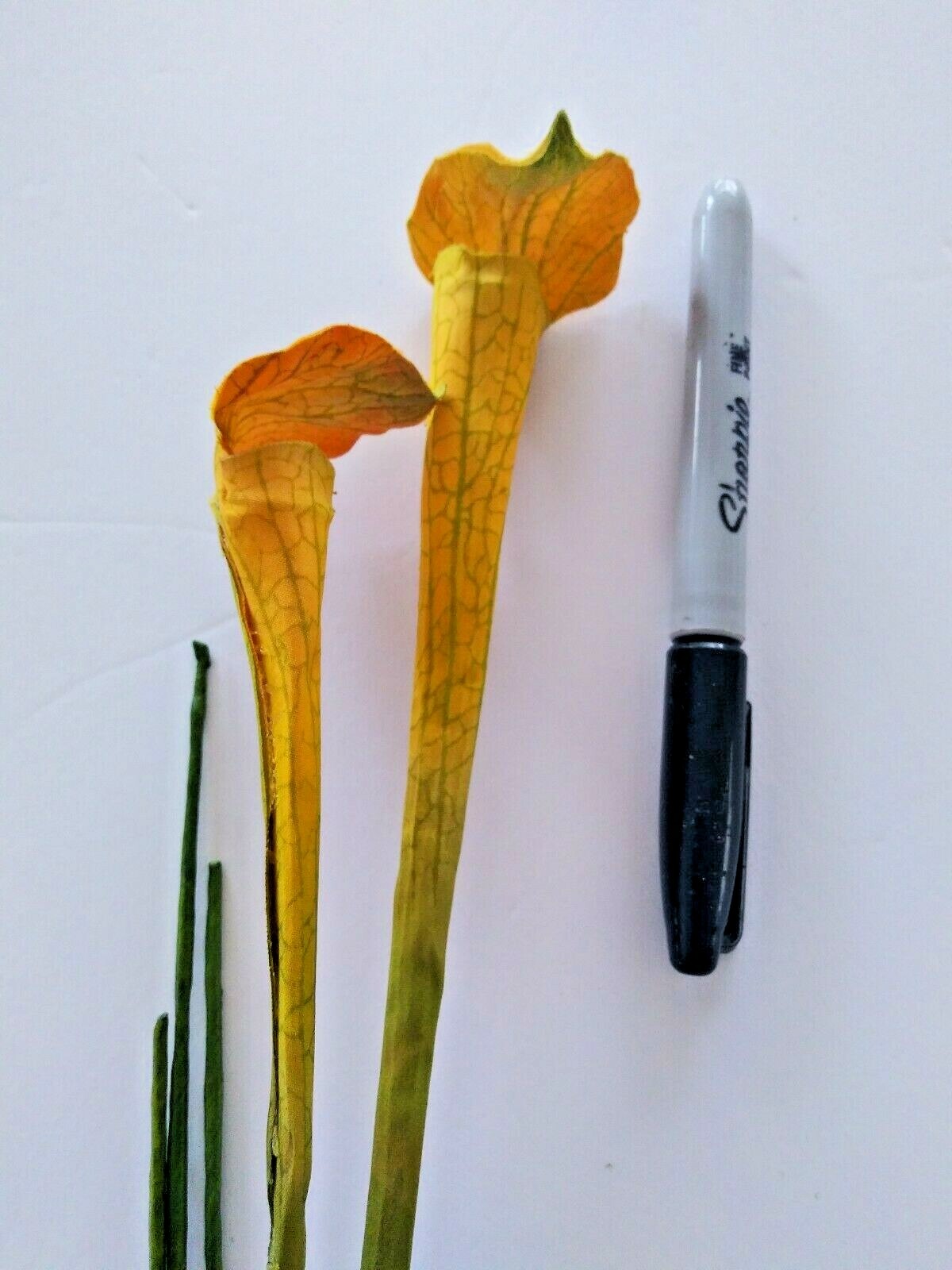 21″ Mini Yellow Pitcher Plant Stems. Silk Flower Floral Arrangements.