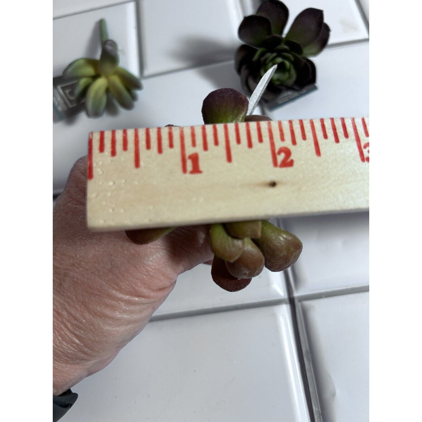6 Various Artificial Succulents Faux Succulent Plants Home Garden Decor