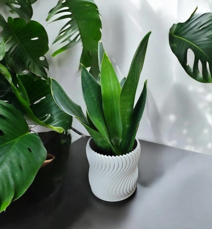 Modern Minimalist Indoor Flower Pot