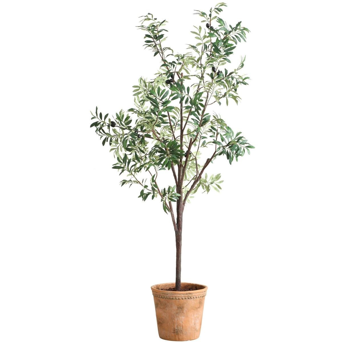 Uttermost 60241 Olea Green and Terracotta Potted Olive Tree