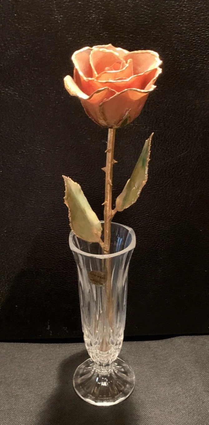 Real Rose Lacquer Dipped 24 Karat Gold Trim Lite Pink/Orange 11.5” With Vase