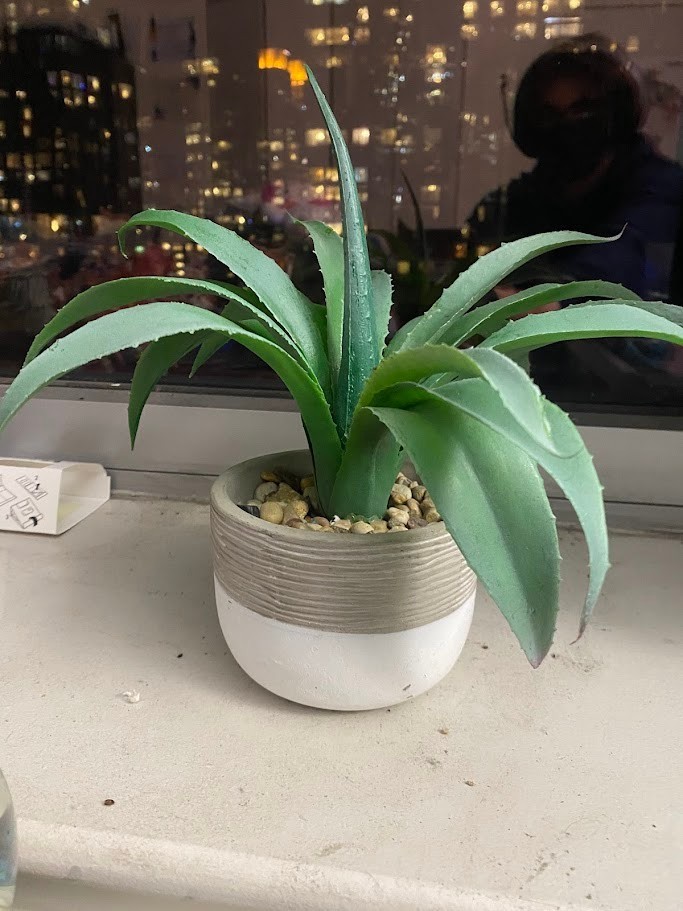 Plastic Plant Decor Small Home Decoration Homegoods.