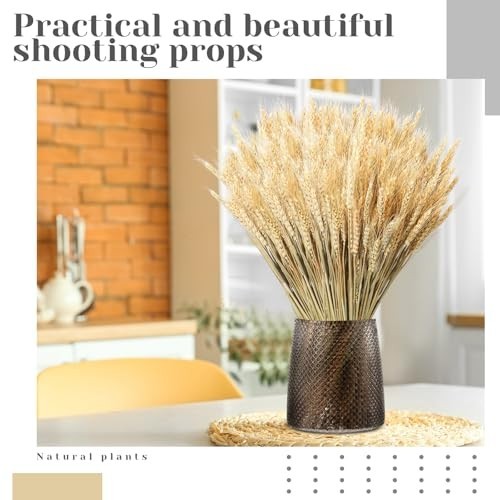 Dried Wheat Stalks Bundle – 1600 Stems Natural Decor for DIY Weddings, Home Cent