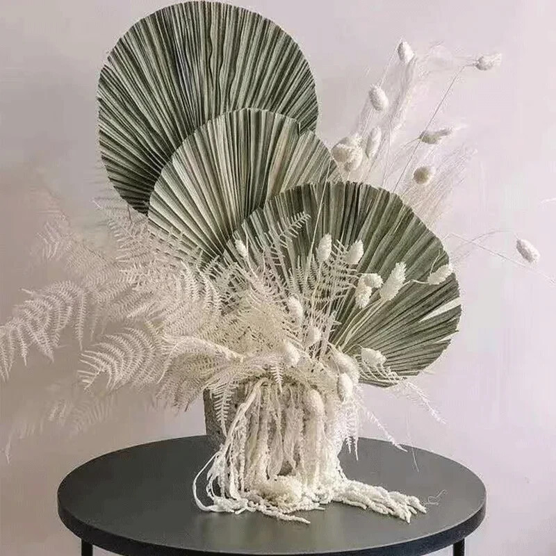 Dried Natural Plant Palm leaves