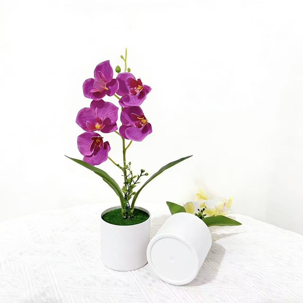 White Yellow Purple Blue Phalaenopsis Orchid Arrangement for Indoor Desk Decor