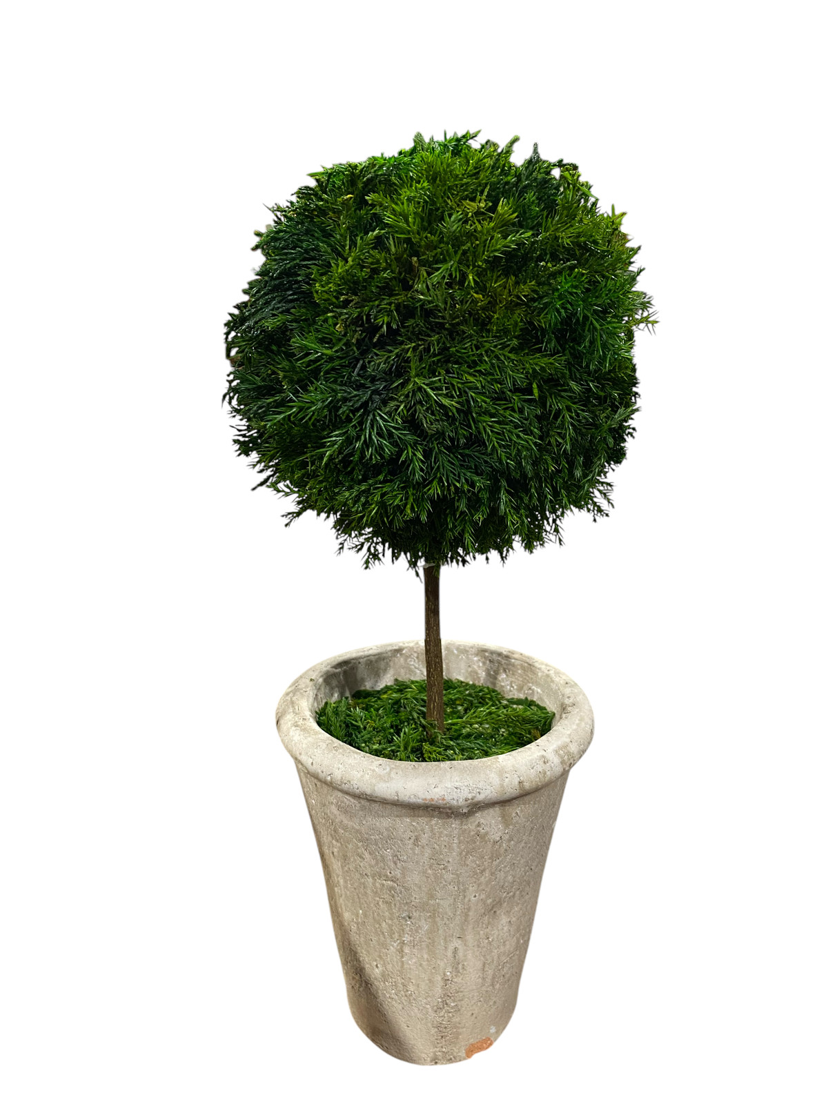 Single, Ball, Topiary