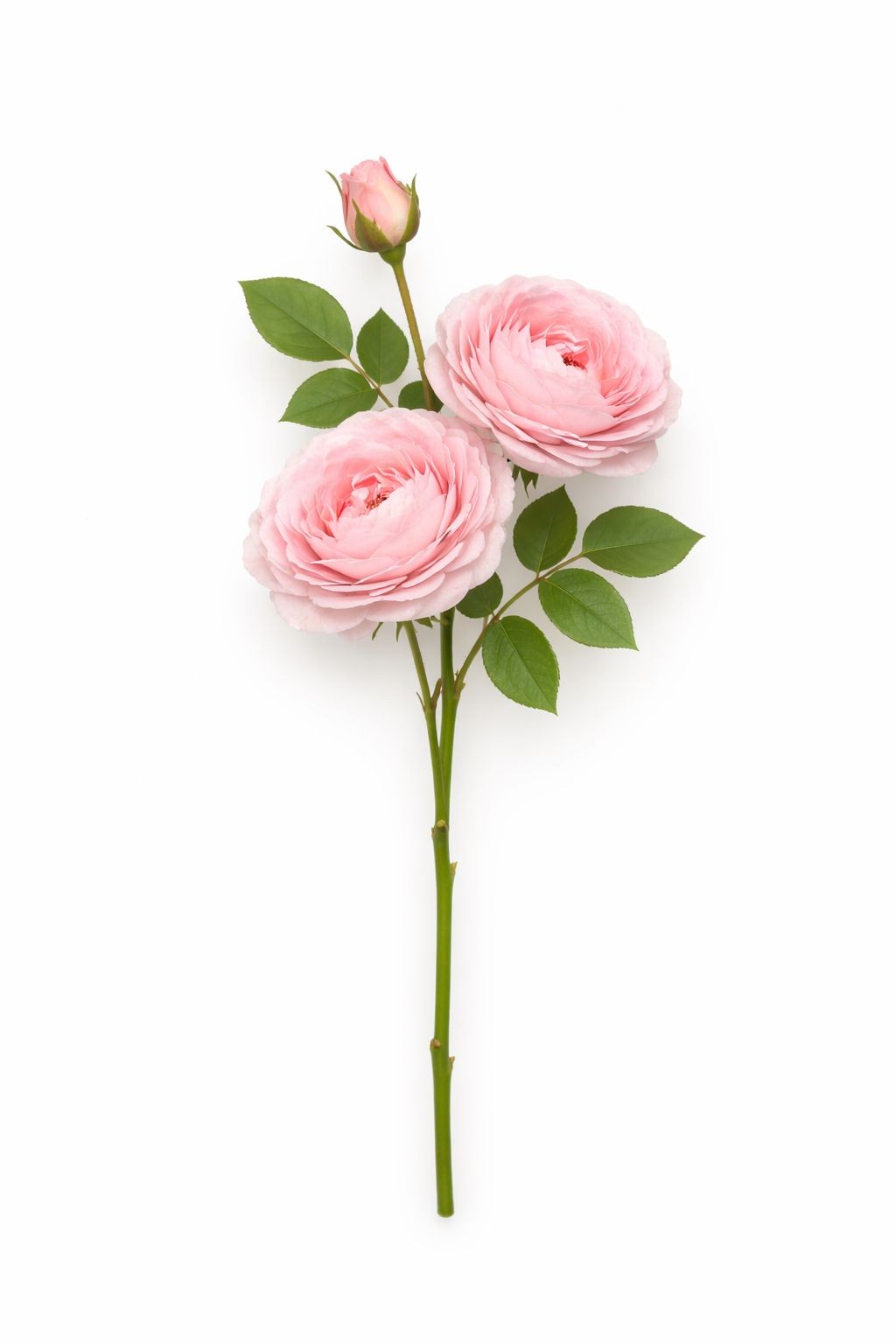 White Pink Peach Artificial Roses Gift Bouquet Wrapped Real Touch Rose Stems 26