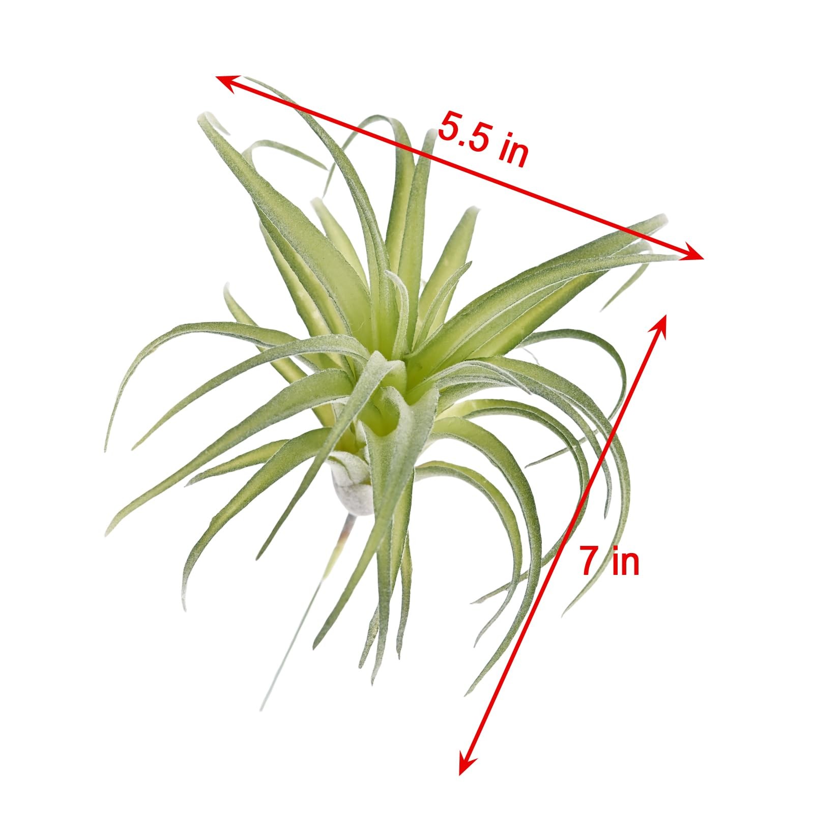 Fake Artificial Tillandsia Air Plants, 4pcs Flocked Green Faux Bromeliads for…