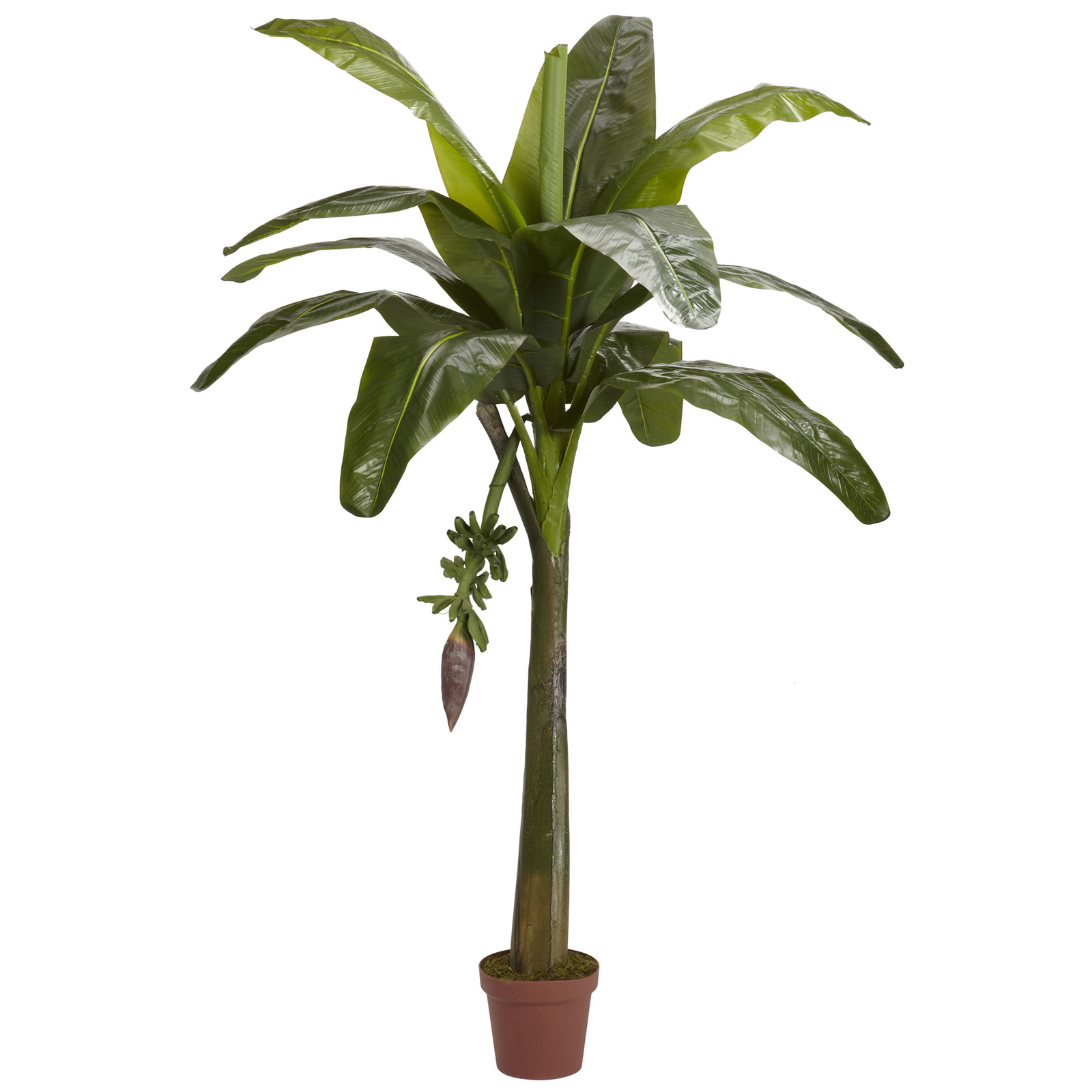 Banana Silk Tree Real Touch Artificial Realistic Nearly Natural 6′ Home Decor