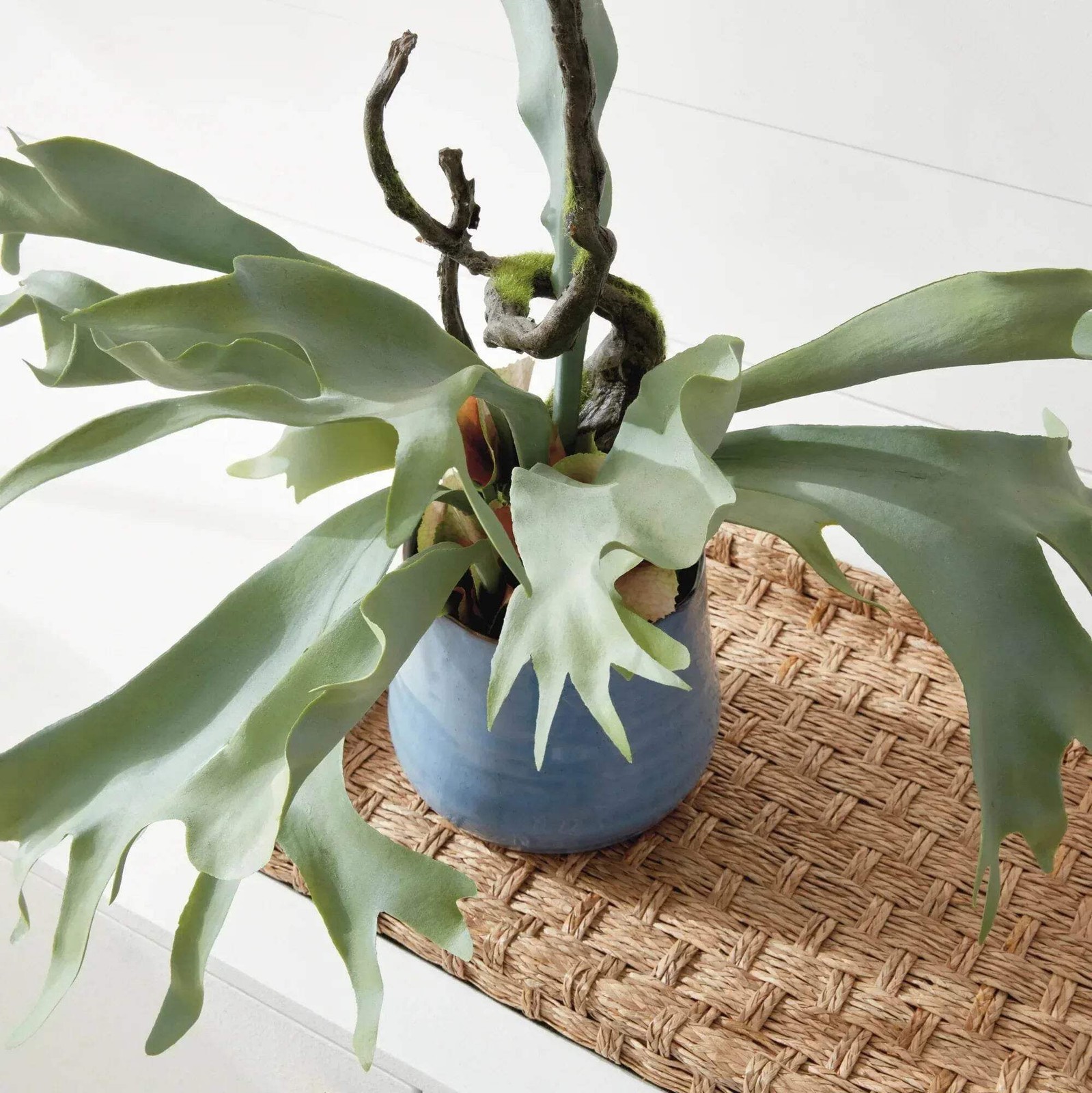 Staghorn Artificial Fern Drop-In 22″