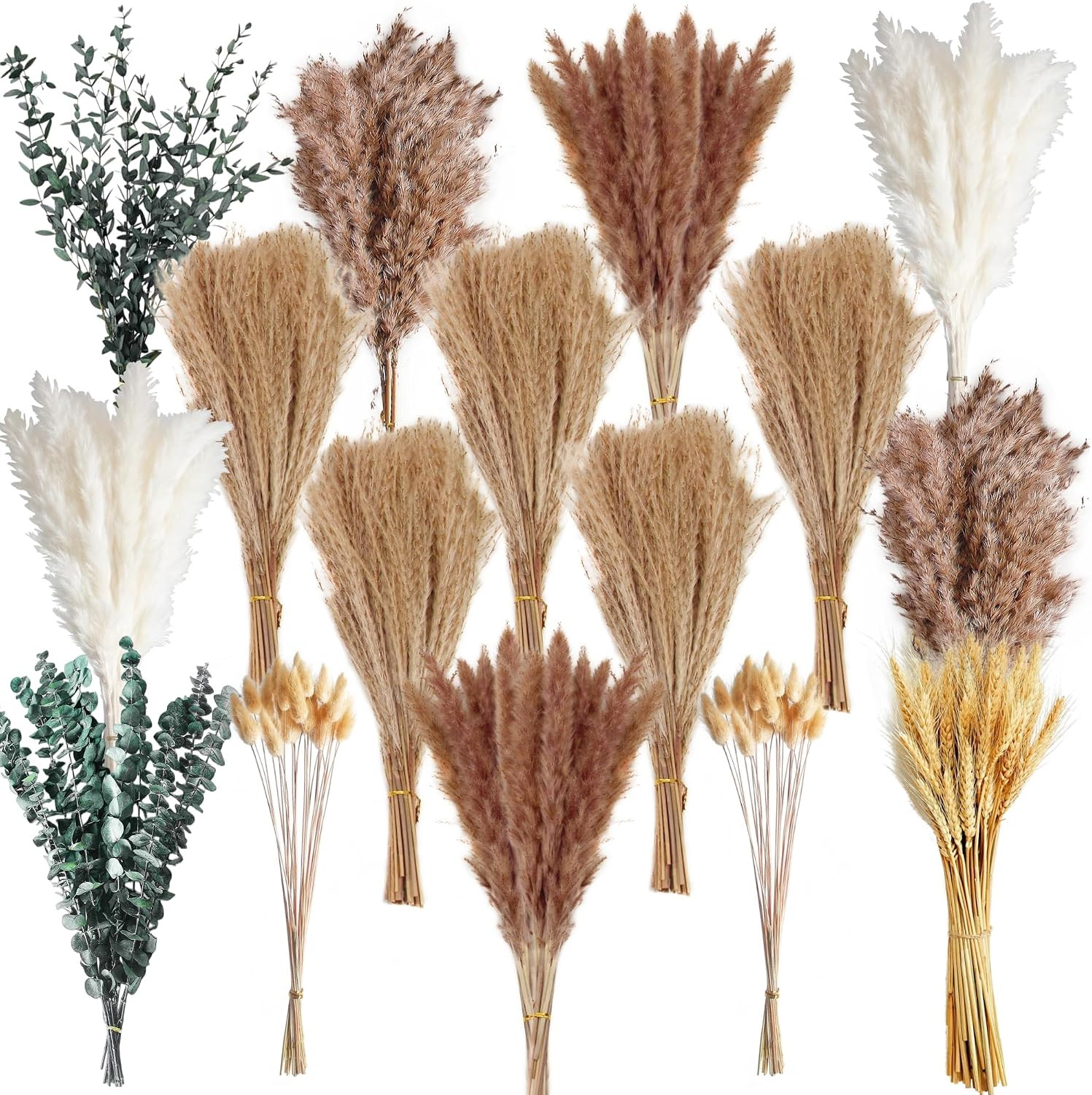 350PCS Dried Pampas Grass Bouquet Set – Dried Eucalyptus, Brown Pampas Grass & W