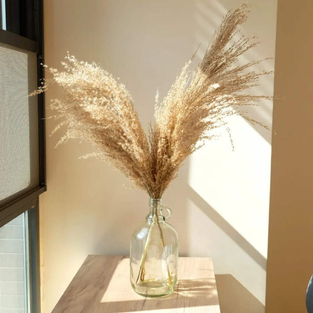 Pampas Grass Dried Decor Natural Home Boho Bouquet Decor, PCS for Stems White