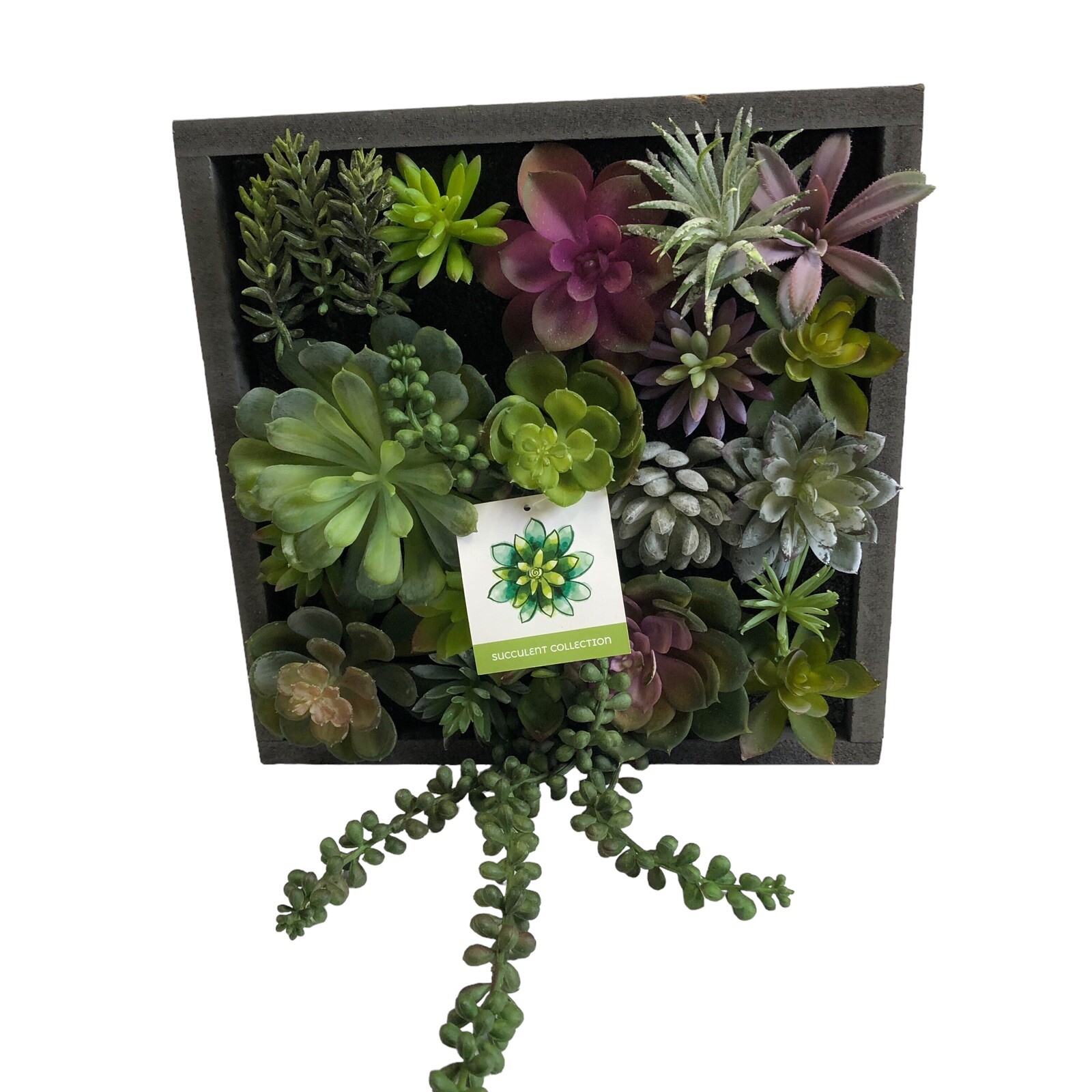 WALL OF FAUX SUCCULENT Cactus in Gray Wood Box Decor Display 12x12x3 inches New