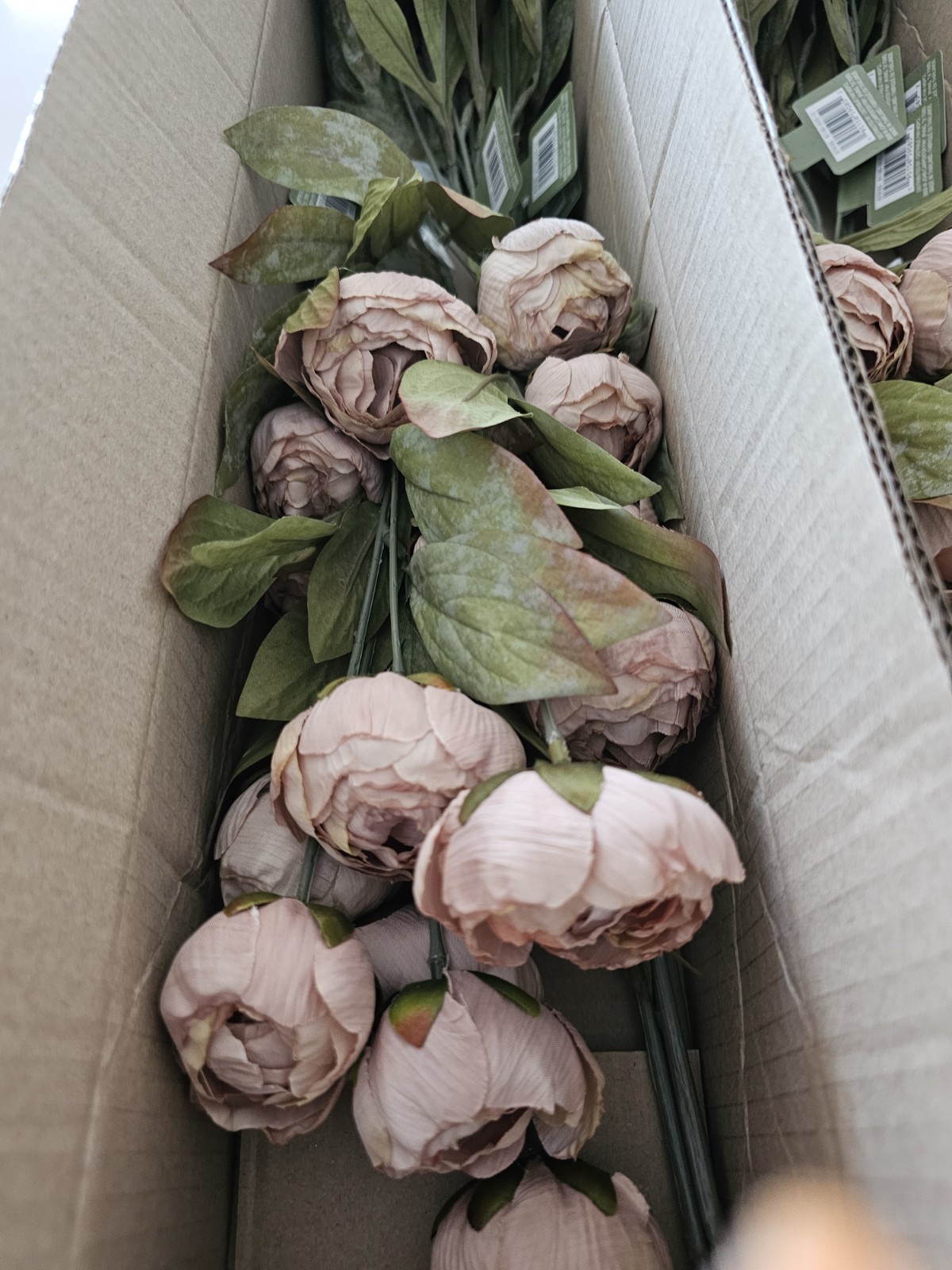 🔥 New in Box 8 Ashland Tan Peony 28″ Stems Michael’s Store VIRAL RARE!