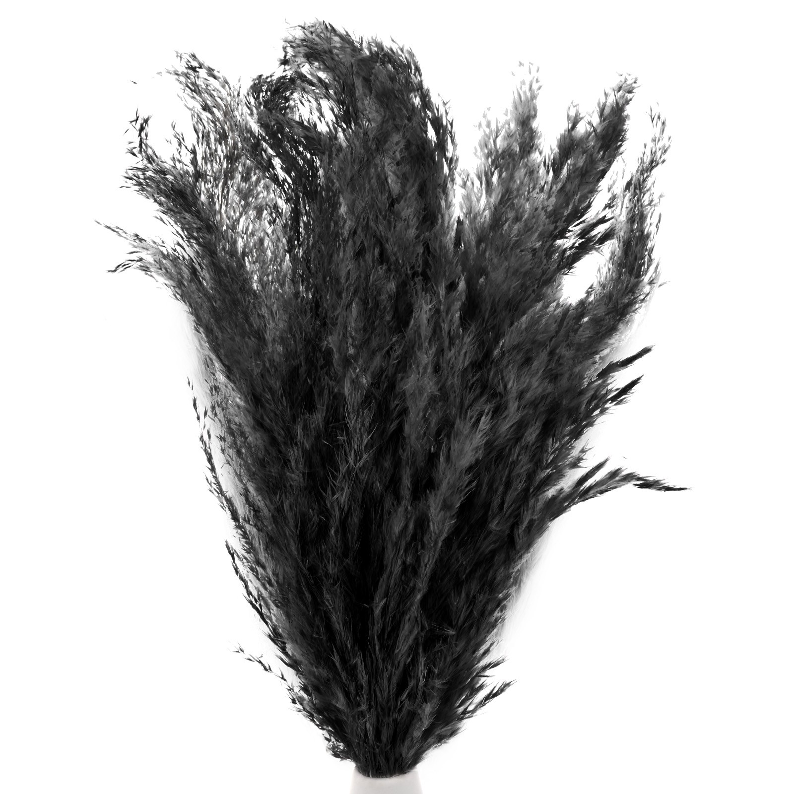 10-Pack Faux Pampas Grass 18 Inch for Home Decor/Wedding [Black]