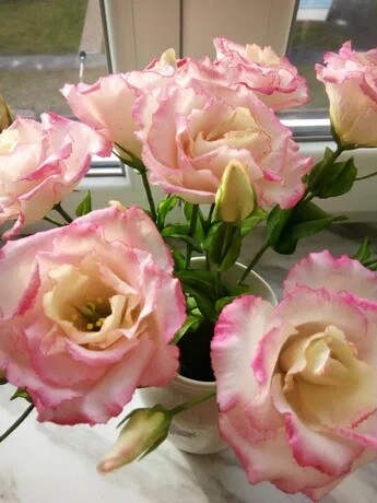 Flower Arrangement Home Decor Handmade Cold Porcelain Artificial Lifelike