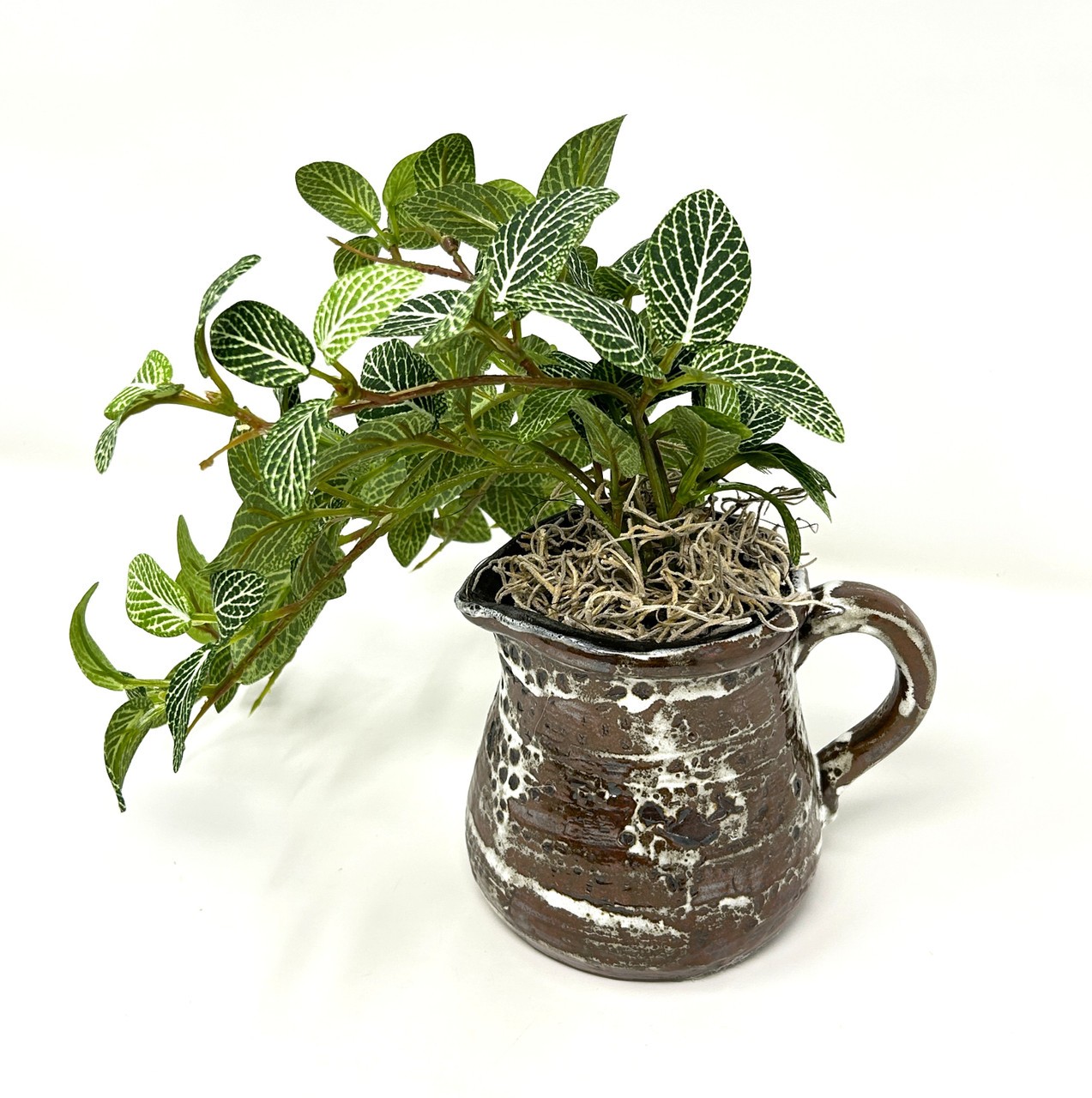 8″ Small Artificial GREEN FITTONIA NERVE faux Silk plant potted in brown Ceramic