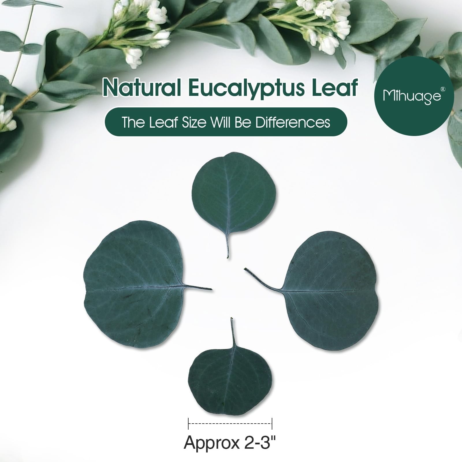 400+ Natural Dried Eucalyptus Leaves – Bulk Green Petals for Wedding Baby Sho…