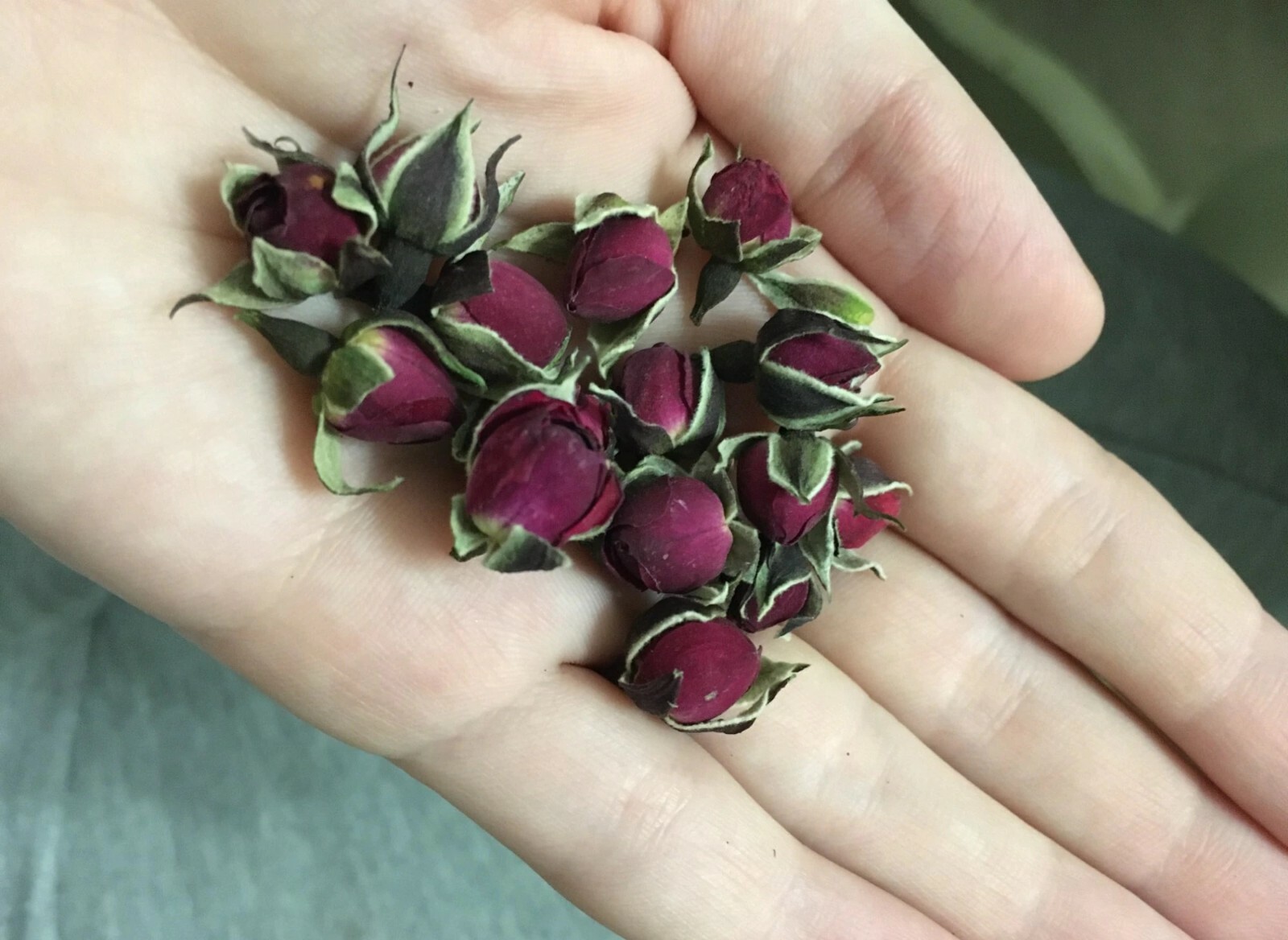 Natural Dried Rose Bud 20G Aromatherapy Home Party Interior Décor Fragrant DIY
