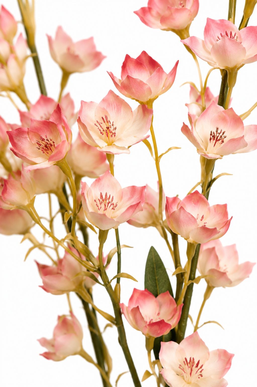 Artificial Dogwood Style Flower Stems Set of 2 Blush Pink White Faux Floral Bran