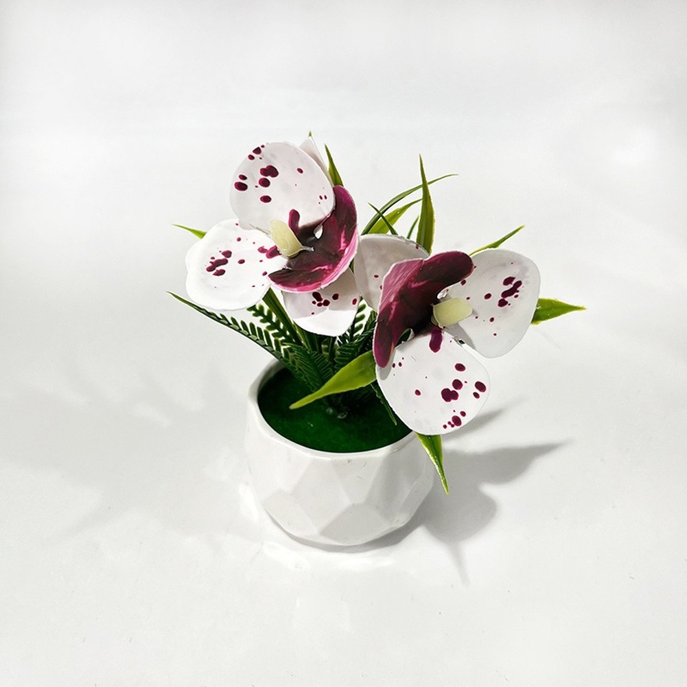Soft Rubber Miniature Orchid Plant in Pot White Purple Orange Blue Red Options
