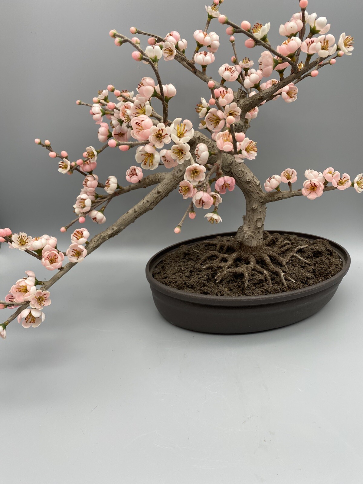 Nearly Natural Artificial Trees 15″ Cherry Blossom Plastic Pot Indoor Black/Pink