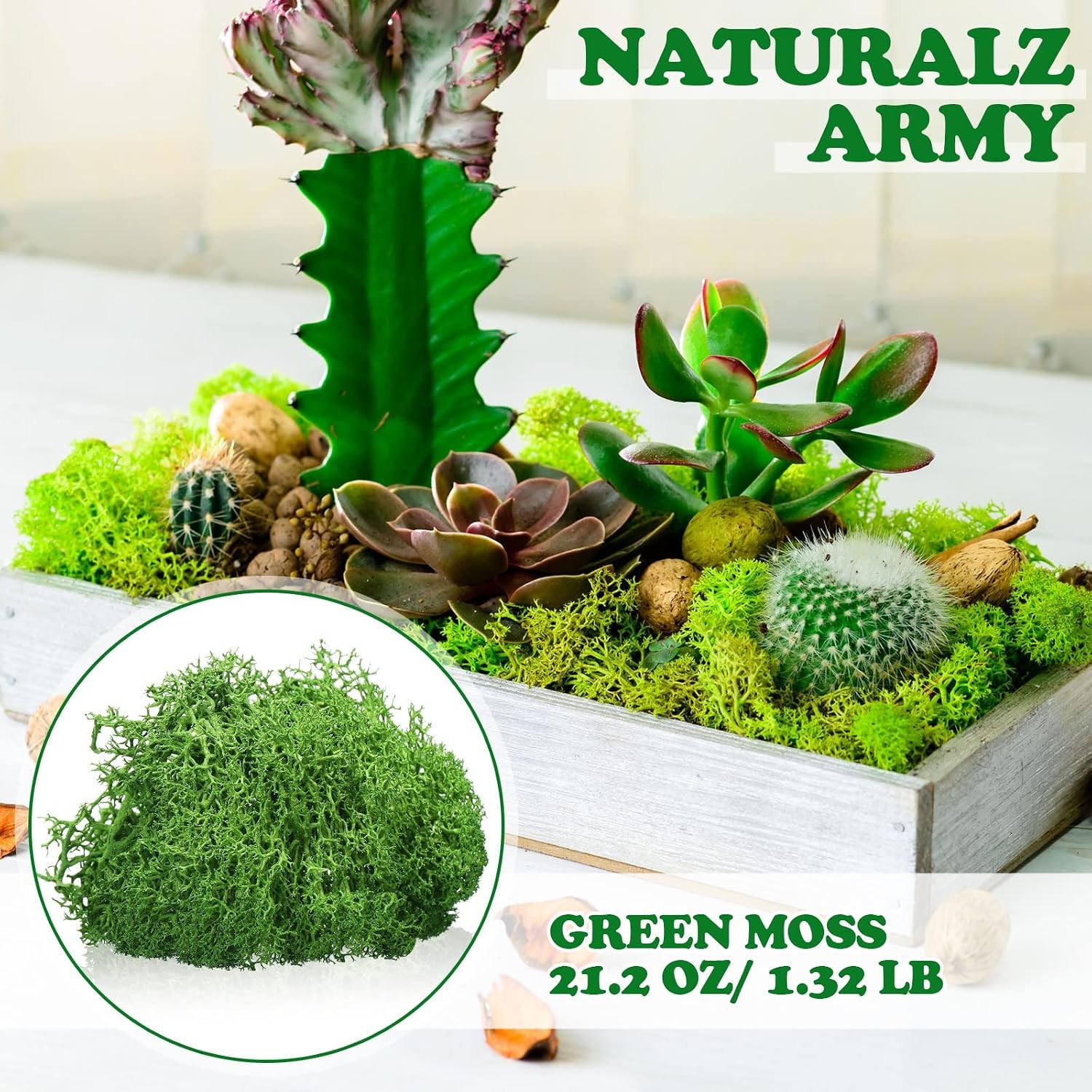 Jadive 21.2 oz Moss Preserved 1.32 Lbs Green Preserved Reindeer Moss Bulk Artifi