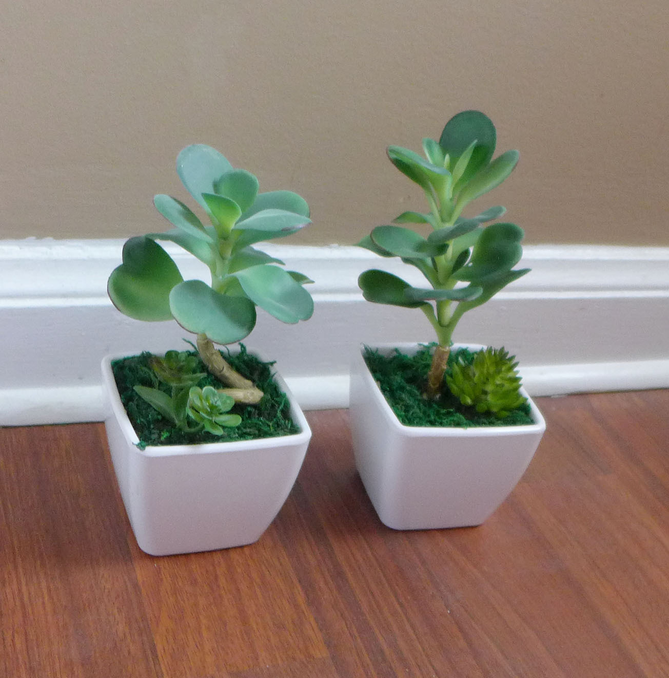 2 Mini Desert Grass Potted Artificial succulent With Pot