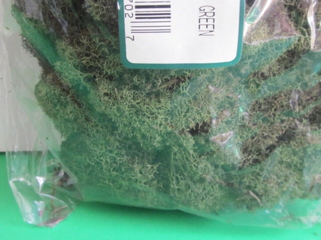 PRESERVED NATURAL REINDEER MOSS GREEN FOR CRAFTS VILLAGES & RAILROAD DISPLAYS