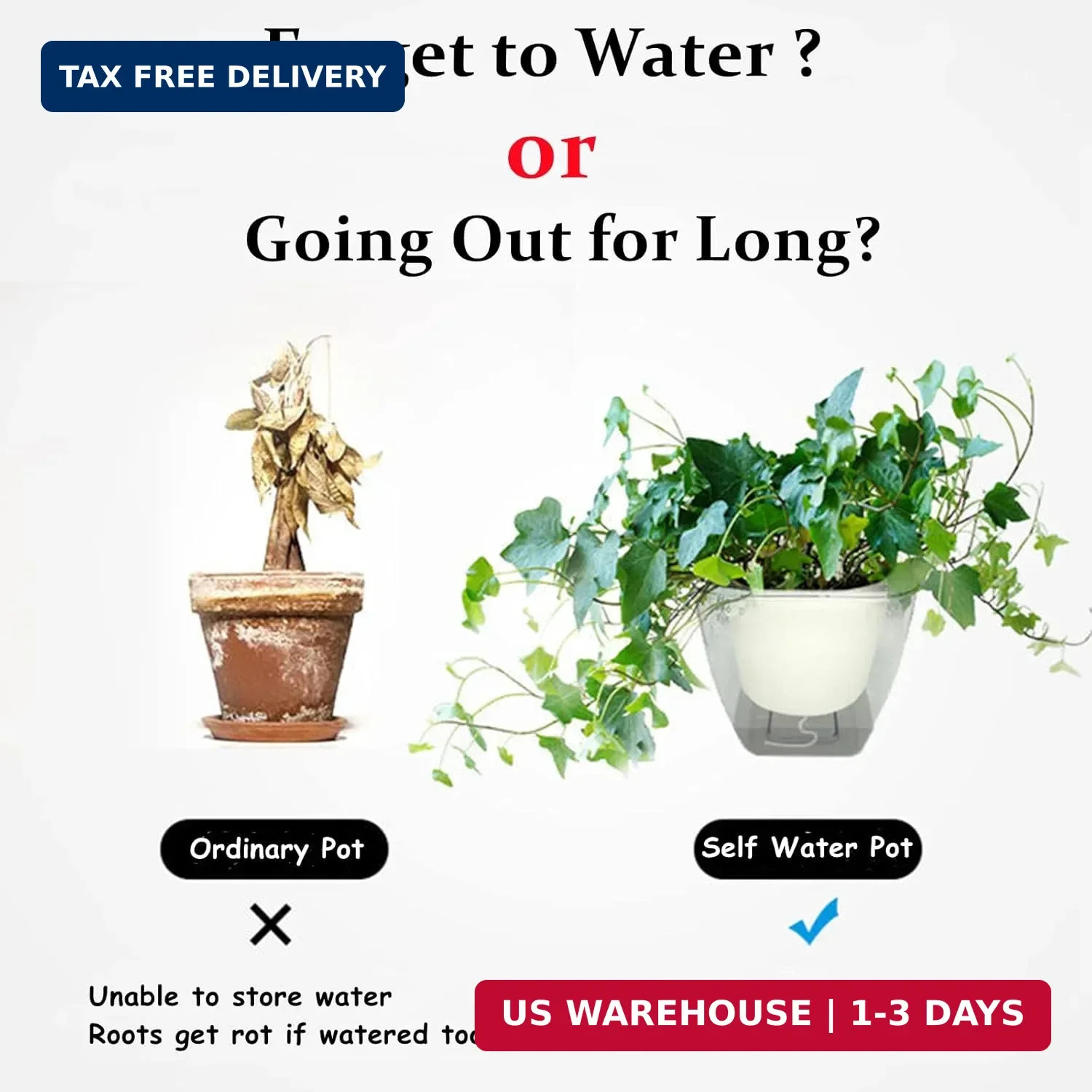 6 Pack Plastic Self Watering Pots, 4 Inch Clear African Violet Pots for Indoor P