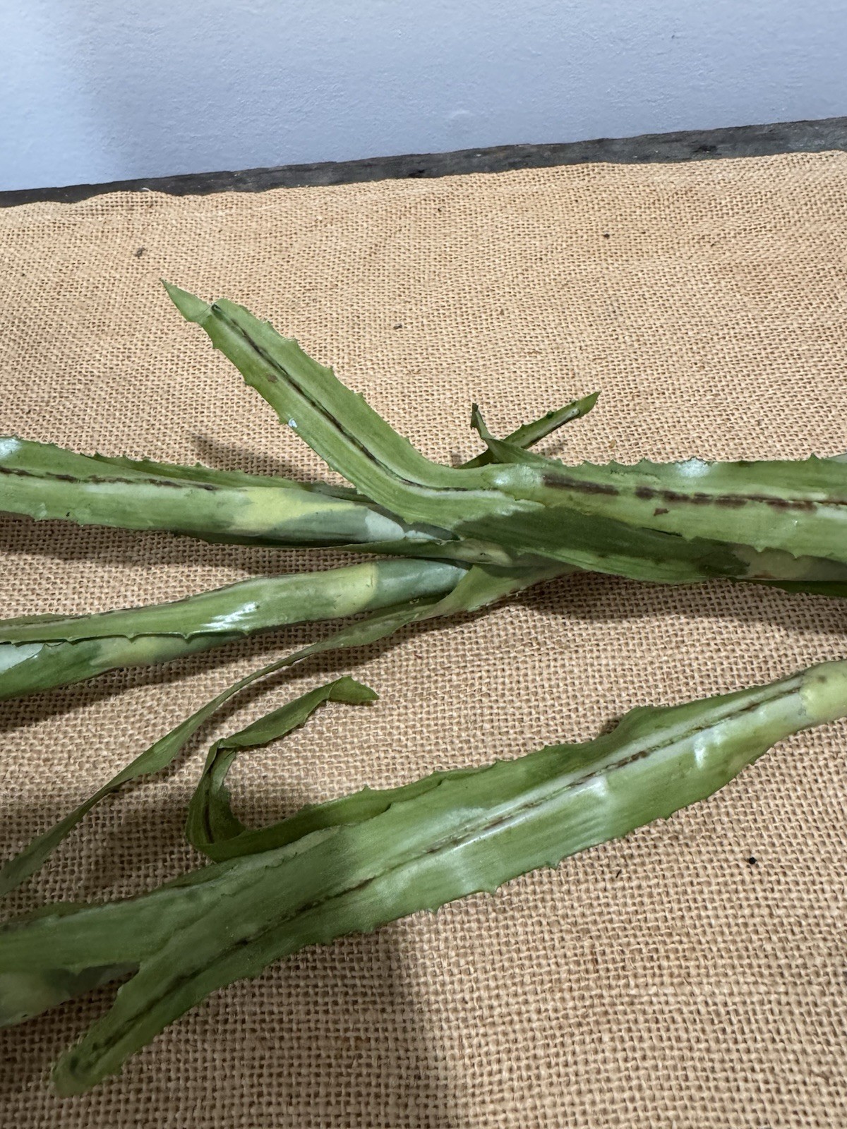 Primitive Pineapple Stems 28”
